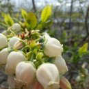 기덕농장 이미지