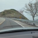 네이처캠(주) | 잔디 위의 텐트 캠핑, 청도 운문댐하류보 유원지