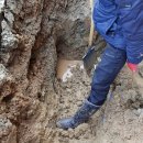 자유무역로 이미지