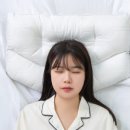 바이필로