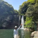 천지동-3 | 제주도 서귀포 가족여행 추천 제주 천지연폭포 주차 애견동반