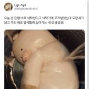 바로세탁 이미지