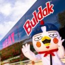 Y.C 엔터테인먼트 이미지