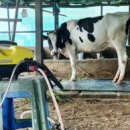 토평목장 이미지