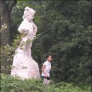 육화 이미지