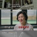 큰손만두 - 김포시 풍무로 105 | 큰손만두