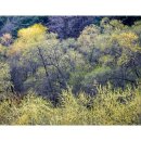 최고의고기 - 양천구 중앙로53길 65 | 최고의고기