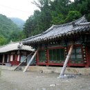 아우라지교(소공원) Daum카페