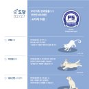 라온애견펜션 이미지