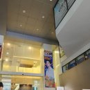 BANGKOK 방콕, 크리스마스 태국 여행(이라 쓰고 덕질여행) // 2022.12.23-26 2박4일 덕질투어 맛집탐방...
