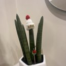 DY휘트니스 이미지