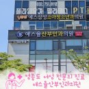 예스율산부인과의원 | 영종도 여성 전문의 진료 예스율산부인과의원