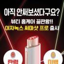 네이처컬렉션공주