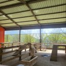 무등산양떼목장 이미지