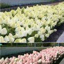 생명농장 이미지