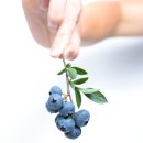 경산시 이동지원센터 이미지