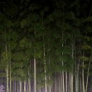 놀숲농원 이미지