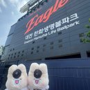 한화생명볼파크] 대전신야구장SSG 원정 117블럭 5열 4,5번 시야후기, 농심가락, 대전역성심당 주말 후기