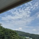 정주의뜰