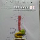 도서관 속 과학교실 이미지