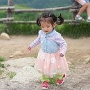 지윤목장 네이버블로그