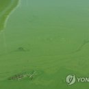 녹색유통연합 이미지