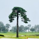 곤지암GC