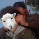 성호탕 네이버블로그