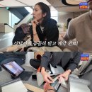 담비인테리어