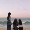 타로1 이미지