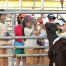 녹유정교육농장 이미지