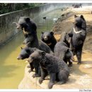 계림산장 이미지