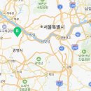스타일독앤캣강아지고양이경기광주점