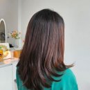 155-2-000051 | 황금역미용실 대구 지산동 미용실 민욱디자이너 레이어드컷 클리닉 내돈내산 후기
