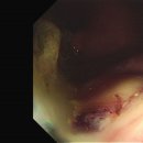 삼육부산병원 이미지