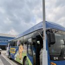 언택트세이프(A) | 베이크샵_ 찹쌀떡 소금빵, 라즈베리 크럼블 휘낭시에, 로이스 생초코 휘낭시에(feat. 대전 빵시투어 후기)