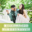 디자인수피아 | [울산 웨딩홀투어] 울산시티컨벤션 수피아홀 리뉴얼 후기