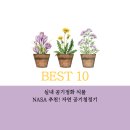 정화세탁소 | 실내 공기정화 식물 BEST 10｜NASA 추천! 아이 있는 집에 꼭 필요한 자연 공기청정기