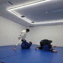 용문주짓수 | 대전주짓수 : 용문주짓수 가오픈 체험후기 용문역4번 출구