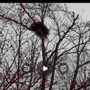 평화누리공인중개사사무소 이미지