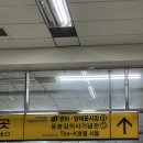 양재시장 | 양재꽃시장 첫 방문 후기 | 화분 꽃 가격 | 영업시간🌷