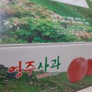애플드림농원