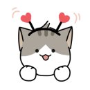 럭키관광(주) 이미지