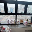스튜디오시린
