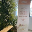 다이렉트 이미지