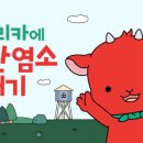 새삼선유치원 이미지
