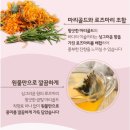 골드로즈마리