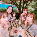 그레이트풀그라운드 네이버블로그