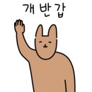 화이트리에마산메트로시티 이미지