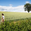 대지의 전개 이미지